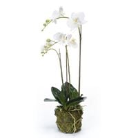 Emerald Yapay Phalaenopsis Orkide Beyaz 70 cm