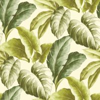 DUTCH WALLCOVERINGS Duvar Kağıdı Tropical Leaves Yeşil ve Beyaz