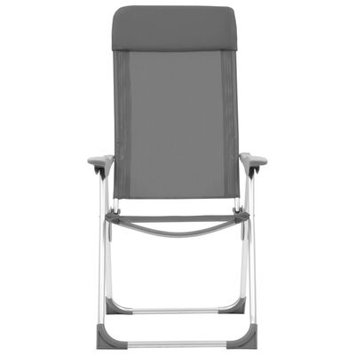 vidaXL Katlanır Kamp Sandalyesi 2 Adet Gri Alüminyum