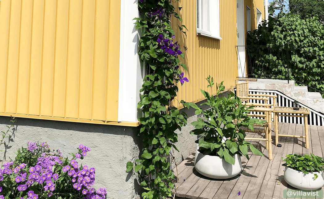 Gardening in a greenhouse