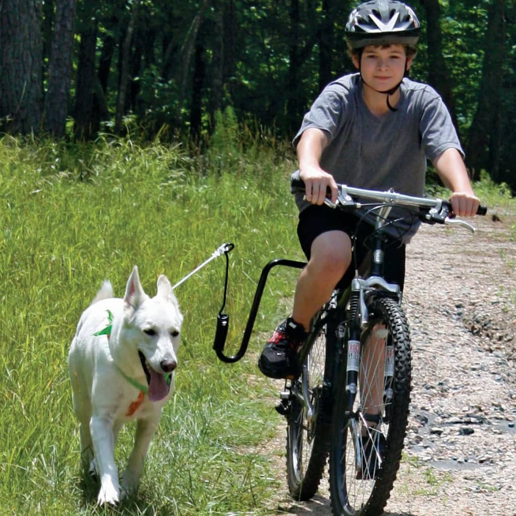 SPRINGER Köpek Bisiklet Egzersiz Aparatı